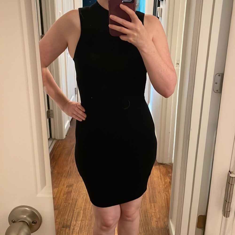 Express sweater dress